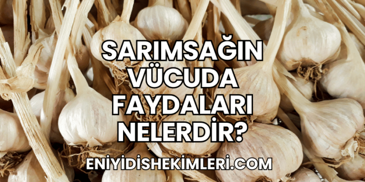 Sarımsağın Vücuda Faydaları Nelerdir?