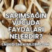Sarımsağın Vücuda Faydaları Nelerdir?