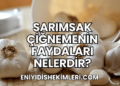 Sarımsak Çiğnemenin Faydaları Nelerdir?