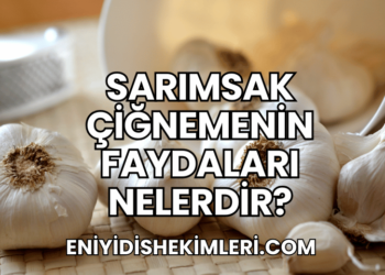 Sarımsak Çiğnemenin Faydaları Nelerdir?