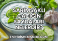 Sarımsaklı Cacığın Faydaları Nelerdir?