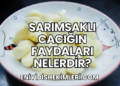 Sarımsaklı Cacığın Faydaları Nelerdir?