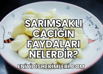 Sarımsaklı Cacığın Faydaları Nelerdir?