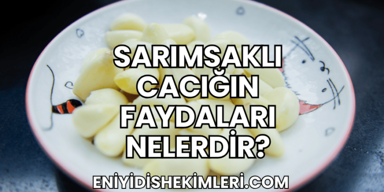 Sarımsaklı Cacığın Faydaları Nelerdir?