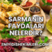 Sarmanın Faydaları Nelerdir?