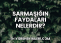 Sarmaşığın Faydaları Nelerdir?