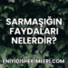 Sarmaşığın Faydaları Nelerdir?