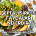 Şeftali Sirkesi Faydaları Nelerdir?