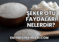Şeker Otu Faydaları Nelerdir?