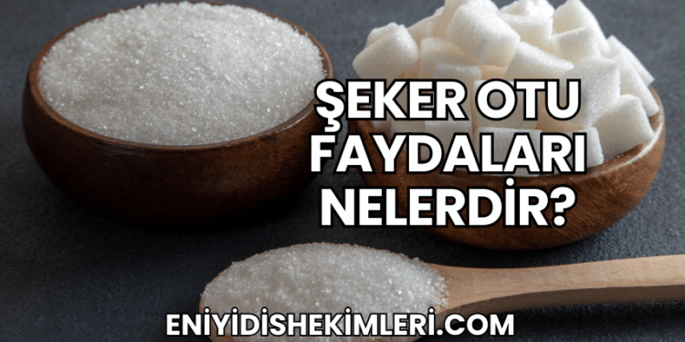 Şeker Otu Faydaları Nelerdir?