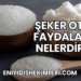 Şeker Otu Faydaları Nelerdir?