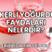Şekerli Yoğurdun Faydaları Nelerdir?