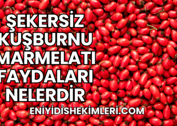 Şekersiz Kuşburnu Marmelatı Faydaları Nelerdir