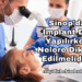 Sinop'da İmplant Diş Yapılırken Nelere Dikkat Edilmelidir?