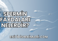 Spermin Faydaları Nelerdir?
