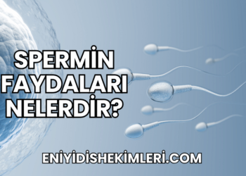 Spermin Faydaları Nelerdir?