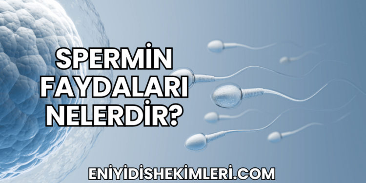 Spermin Faydaları Nelerdir?
