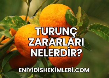 Turunç Zararları Nelerdir?