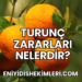 Turunç Zararları Nelerdir?