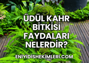 Üdül Kahr Bitkisi Faydaları Nelerdir?
