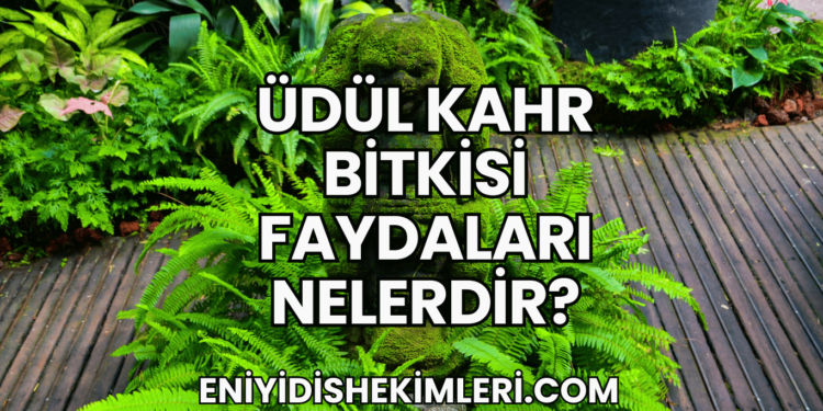 Üdül Kahr Bitkisi Faydaları Nelerdir?