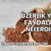 Üzerlik Yağı Faydaları Nelerdir?