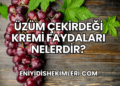 Üzüm Çekirdeği Kremi Faydaları Nelerdir?