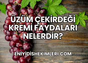 Üzüm Çekirdeği Kremi Faydaları Nelerdir?