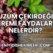 Üzüm Çekirdeği Kremi Faydaları Nelerdir?