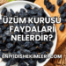 Üzüm Kurusu Faydaları Nelerdir?