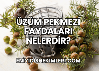 Üzüm Pekmezi Faydaları Nelerdir?