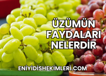 Üzümün Faydaları Nelerdir