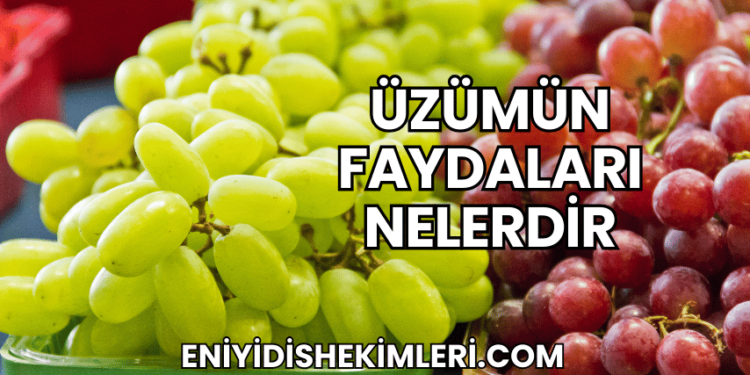 Üzümün Faydaları Nelerdir