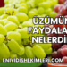Üzümün Faydaları Nelerdir
