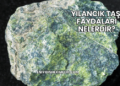 Yılancık Taşı Faydaları Nelerdir?