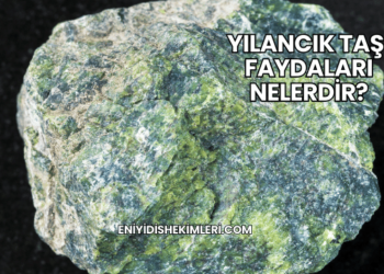 Yılancık Taşı Faydaları Nelerdir?