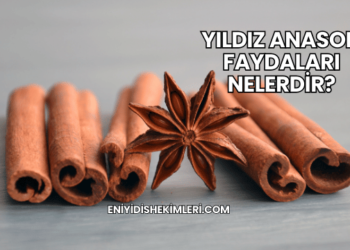 Yıldız Anason Faydaları Nelerdir?