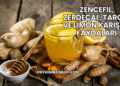 Zencefil, Zerdeçal, Tarçın ve Limon Karışımı Faydaları