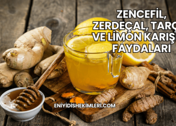 Zencefil, Zerdeçal, Tarçın ve Limon Karışımı Faydaları