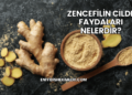 Zencefilin Cilde Faydaları Nelerdir?