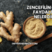 Zencefilin Cilde Faydaları Nelerdir?