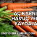 Aç Karnına Havuç Yemek Faydaları