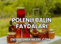 polenli balın faydaları