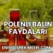 polenli balın faydaları