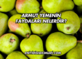 C Vitamini Faydaları Nelerdir?