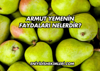 C Vitamini Faydaları Nelerdir?