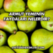 C Vitamini Faydaları Nelerdir?