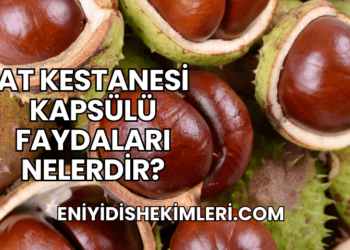 At Kestanesi Kapsülü Faydaları Nelerdir?