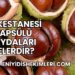 At Kestanesi Kapsülü Faydaları Nelerdir?