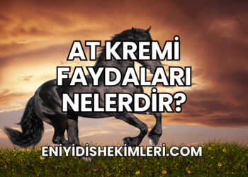 At Kremi Faydaları Nelerdir?